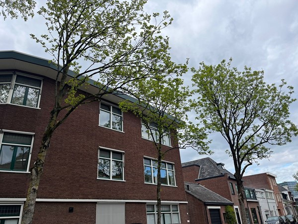 Foto - Verhuurd: Dr. Van Mierlostraat 37D, 4811 NK Breda